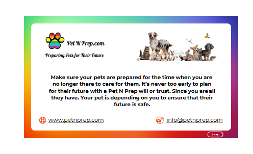 PnP Referral Card Letter