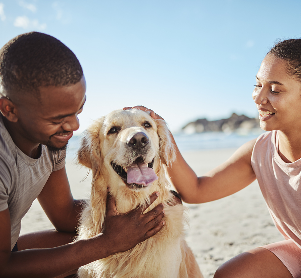  Making Plans for Your Pets