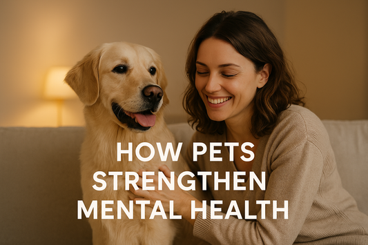 How Pets Strengthen Mental Health and Daily Happiness