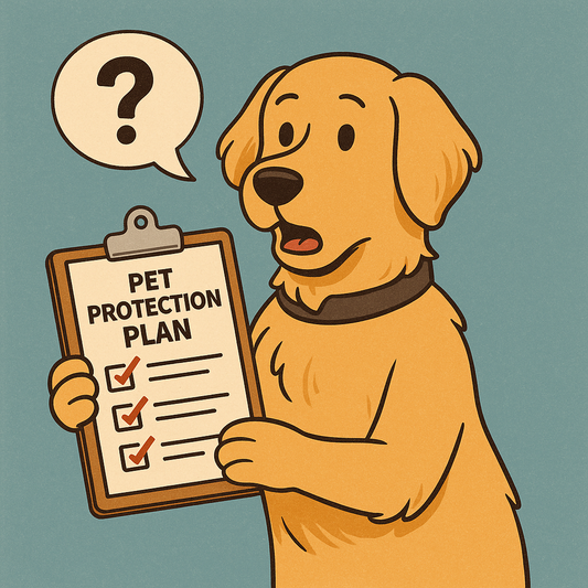 What Will Be the Future of Your Pet? The Crucial Role of the Pet Protection Plan