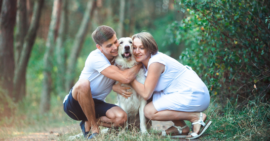 Pet Wills Made Simple: A Step-by-Step Guide to Protecting Your Pet's Future