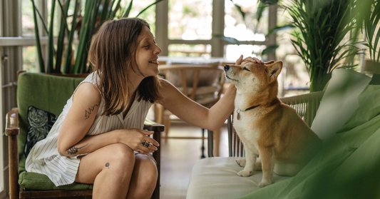 How a Pet Will Brought Peace of Mind to Pet Owners