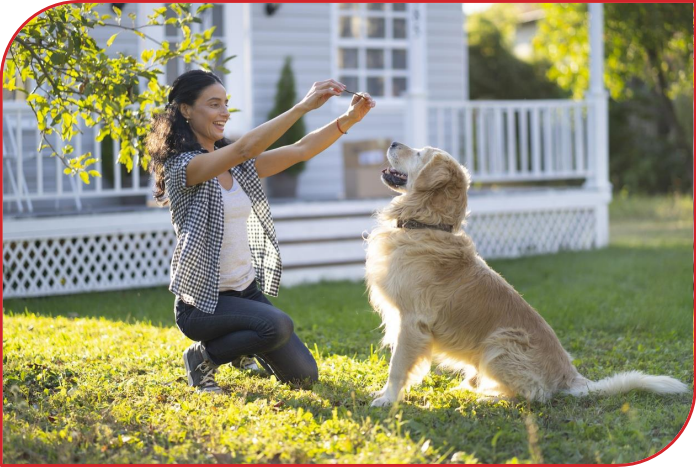 Introduction: Why a Pet Protection  Plan Matters