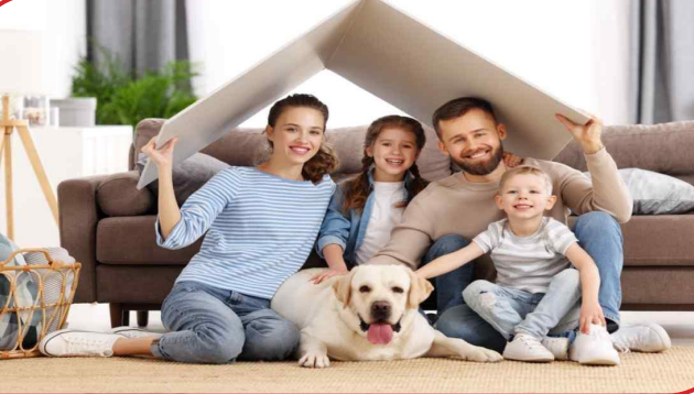 Why Is Estate Planning for Pets Important?