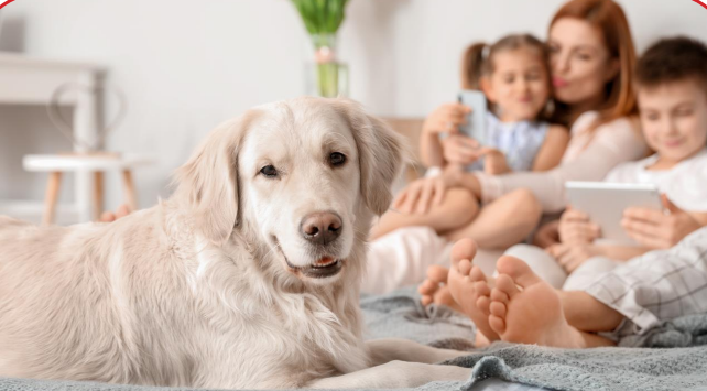 Conclusion: Don’t Wait—Secure Your  Pet’s Future Today