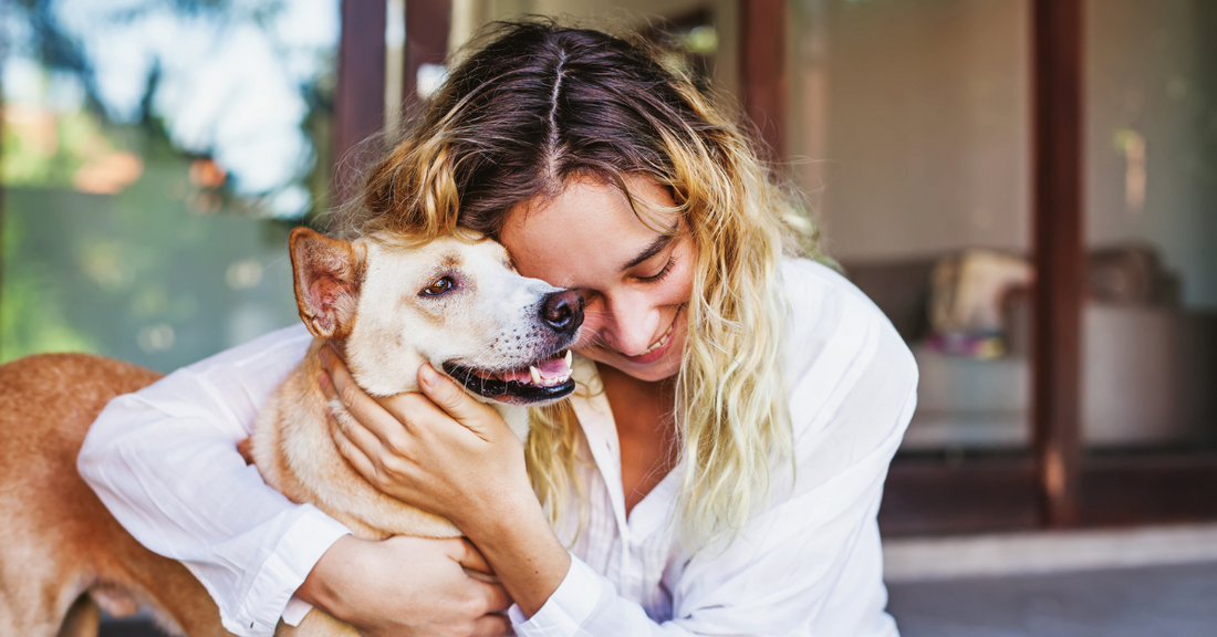 Why Creating a Pet Will Is the Ultimate Act of Love for Your Furry Friend?